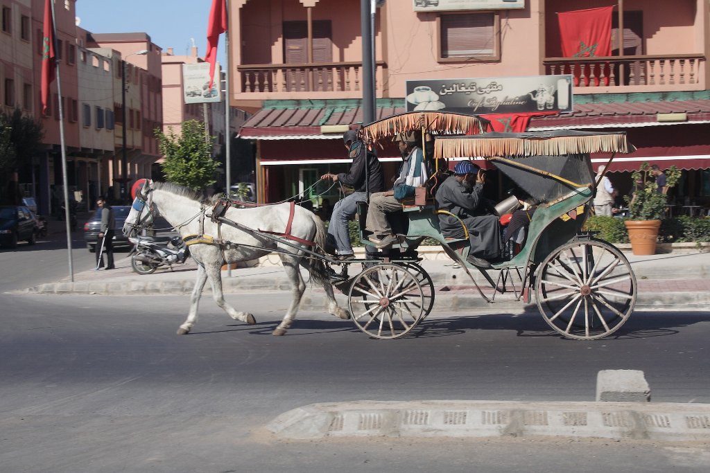 06-Horse cab in Safi.jpg - Horse cab in Safi